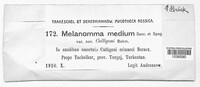 Melanomma medium image